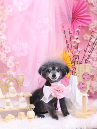 20250301ヒナちゃん